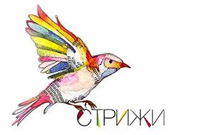 Информационный Партнер